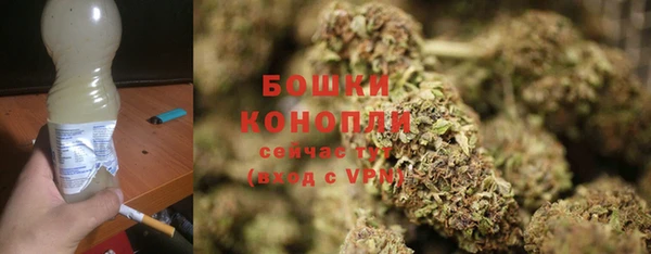 эйфоретик Гусев