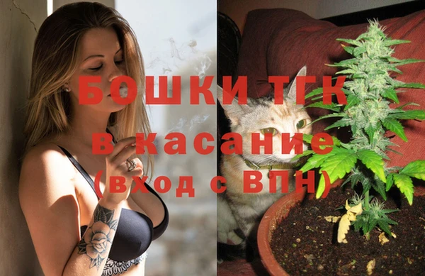 твердый Гусь-Хрустальный