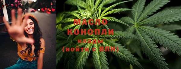 эйфоретик Гусев
