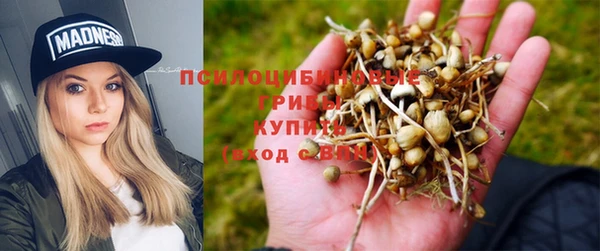 твердый Гусь-Хрустальный