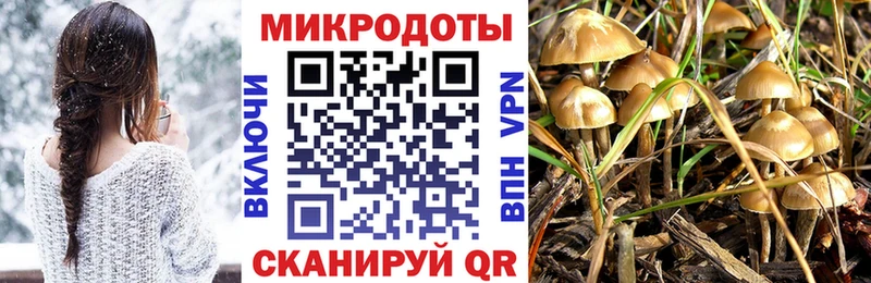 Псилоцибиновые грибы мицелий Знаменск